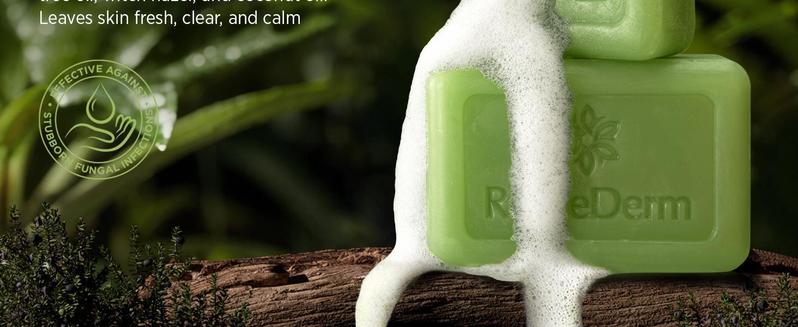 Roycederm Antifungal Antibacterial Tea Tree Soap: Antifungal Antibacterial Treatment for Face & Body Acne, Athlete's Foot, Tinea, Folliculitis Ringworm Jock Itch (Pack of 1)