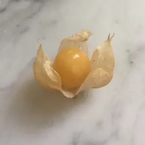 Pineapple Ground Cherry Seeds
