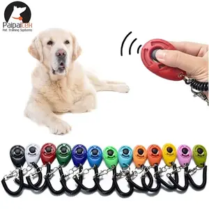 Dog Training Clicker Keychain