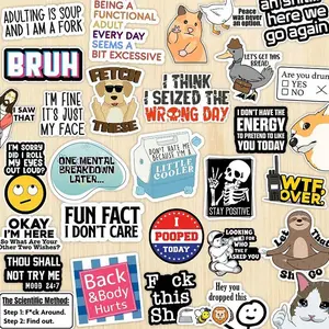 150PCS Funny Saying Sticker Pack - Snarky, Sarcastic Bold Humor Vinyl Waterproof Meme stickers for laptop, computer, water bottle, ipad, phones bumper folding  chair sticker pack
