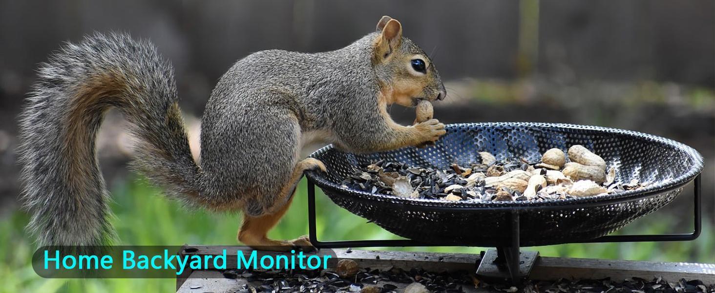 Reveal Hunting Camera Lipo Lithium Battery for Tactacam Battery Pack Compatible for Trail & Game Camera Pro 3.0, X Pro, X Gen 3.0, X Gen 2.0, X, Pro 3.0, XB, SK for Tactacam Reveal Cellular Trail Reveal Hunting Camera Lipo Lithium Battery for Tactacam Battery Pack Compatible for Trail & Game Camera Pro 3.0, X Pro, X Gen 3.0, X Gen 2.0, X, Pro 3.0, XB, SK for Tactacam Reveal Cellular Trail