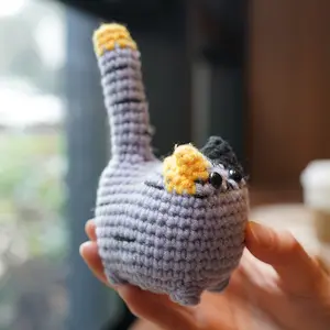 Cat Crochet Kit DIY for Beginners, Animal Amigurumi Crochet Gift, With Video