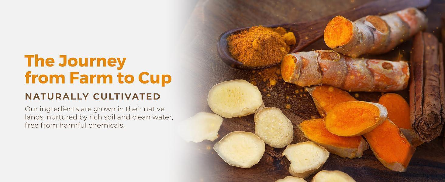 Turmeric Ginger Cinnamon Tea, Handcrafted Herbal Blend – Caffeine Free, Light Digestive Comfort, Enjoy Hot, All-Natural