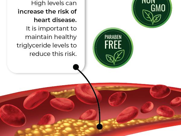 CL Balance Cholesterol Supplement: Natural Formula for Normal Cholesterol Levels with Bergamot Polyphenols and Berberine CL Balance Cholesterol Supplement: Natural Formula for Normal Cholesterol Levels with Bergamot Polyphenols and Berberine