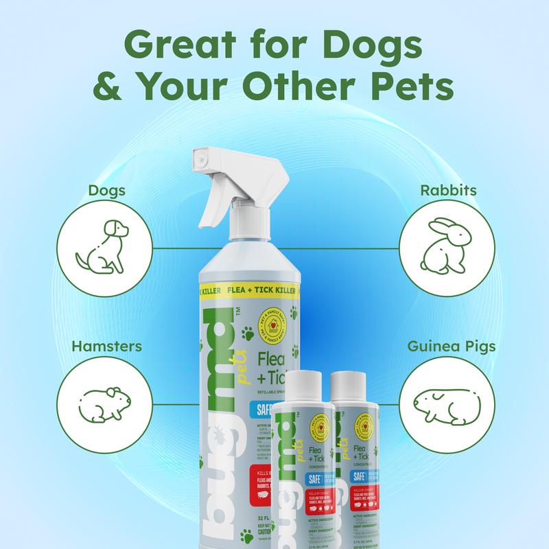 BugMD Flea and Tick Concentrate (3.7 oz, 2-Pack) – Natural Essential Oil Spray for Fleas, Ticks, and Mites in Pets, Safe for Dogs