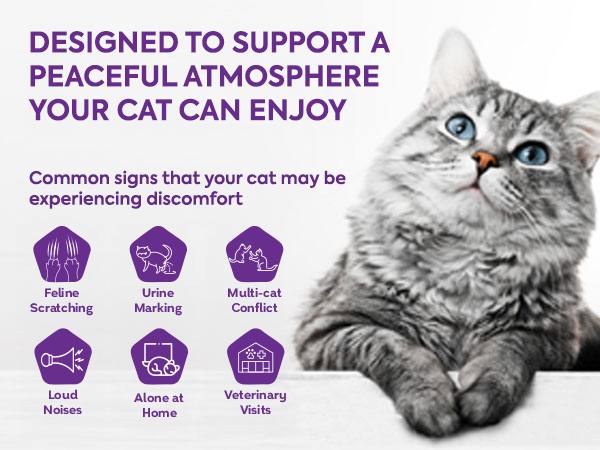 TopSum Cat Pheromone Calming Diffuser — Soothing & Stress-Relief for Cats, Premium 4 in 1 (Purple) TopSum Cat Pheromone Calming Diffuser — Soothing & Stress-Relief for Cats, Premium 4 in 1 (Purple)