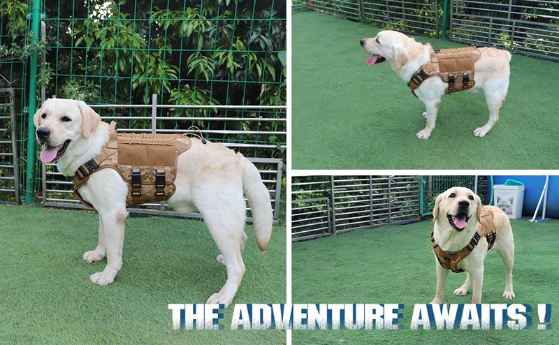 PETNANNY Tactical Dog Harness - Service Dog Harness Emotional Support Dog Vest for Medium Large Dogs, No Pull ESA Dog Vest with Hook & Loop, Working Molle Vest for Training Huntin