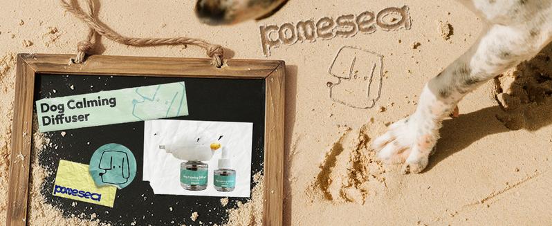 Dog Calming Diffuser Plug-In – Natural Pheromone Stress Relief for Dogs, Reduces Barking, Peeing & Anxiety (1–3 Pack)