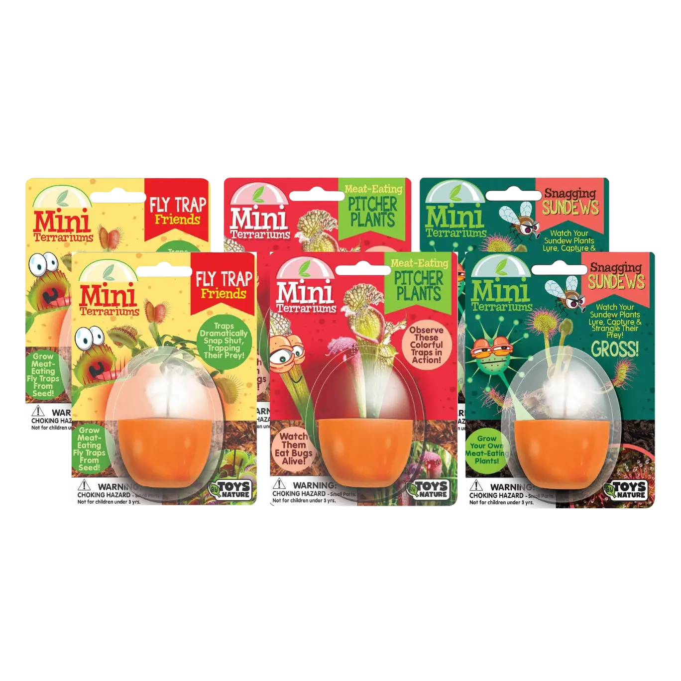 Carnivorous Mini Terrarium Bundle - 2 Each of 3 Varieties
