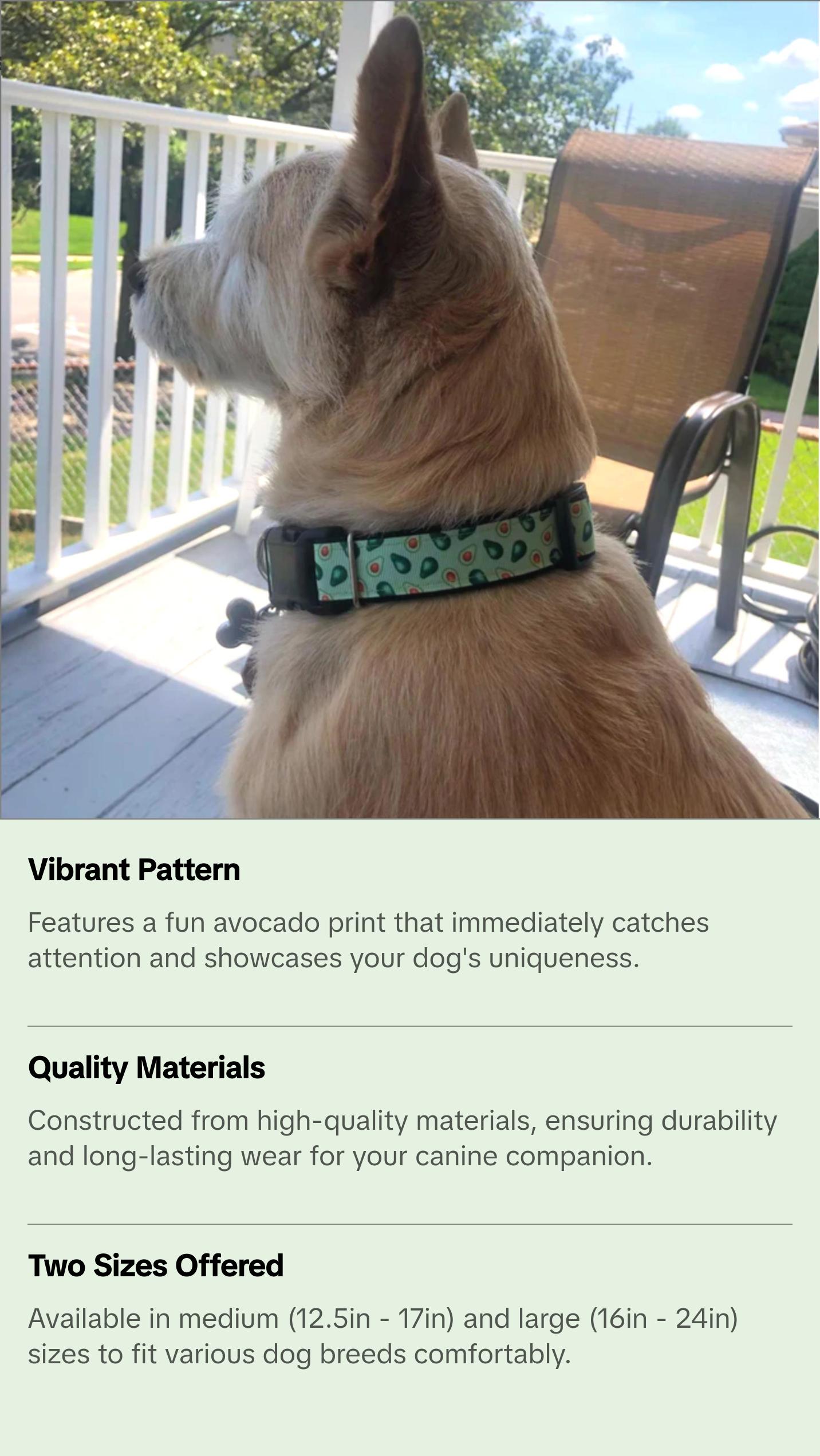 Avocado Dog Collar