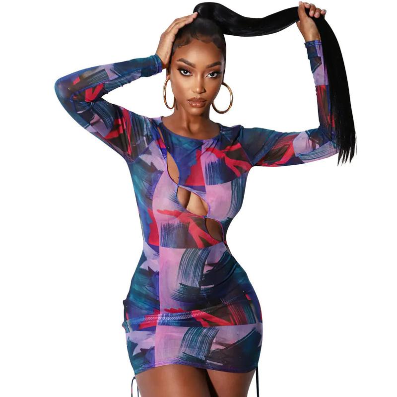 Mesh Sheer Long Sleeve Dress
