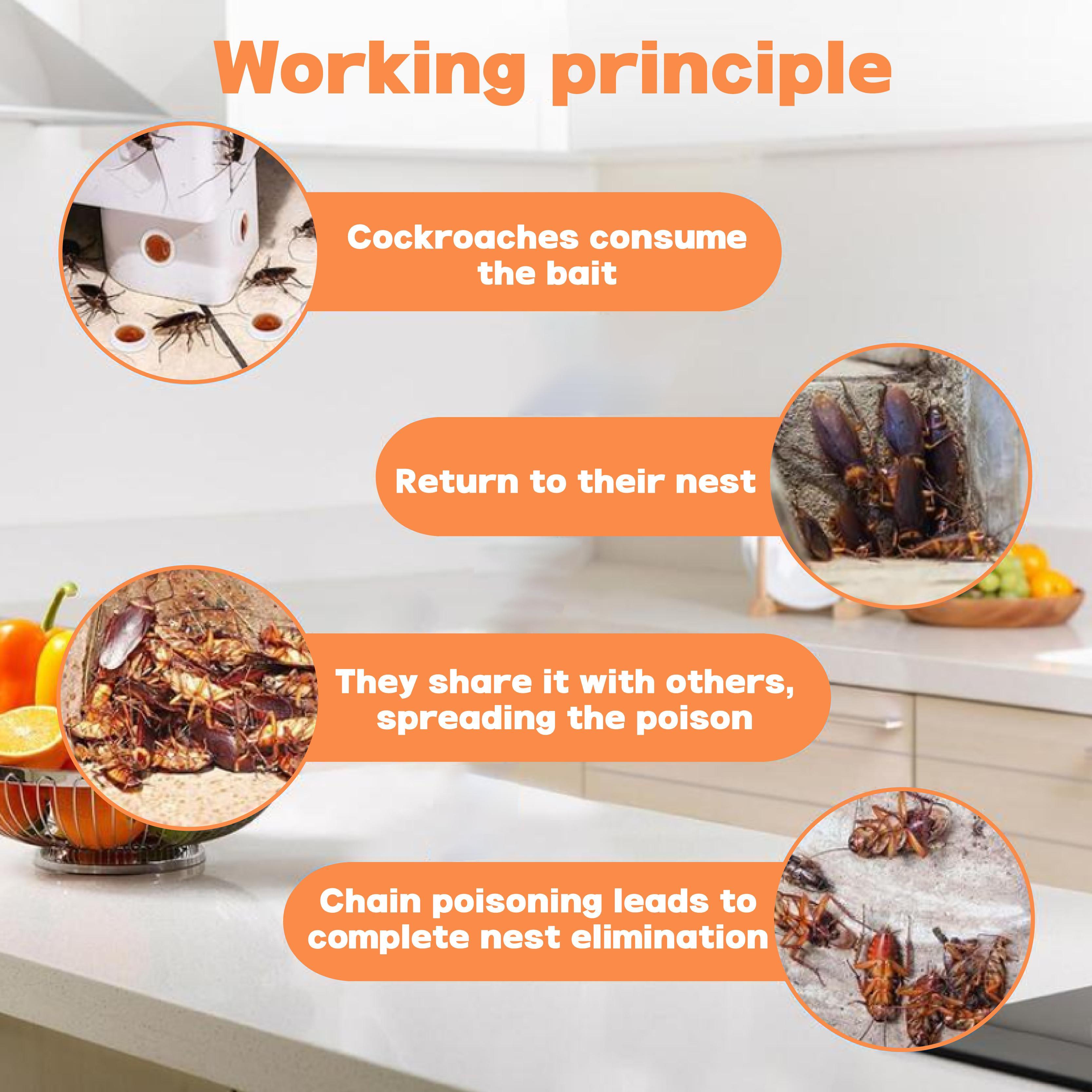 LENDOUYE: Indoor Pest Killing Products, Repellents, Indoor Traps, Insecticides, Bait Stations BD