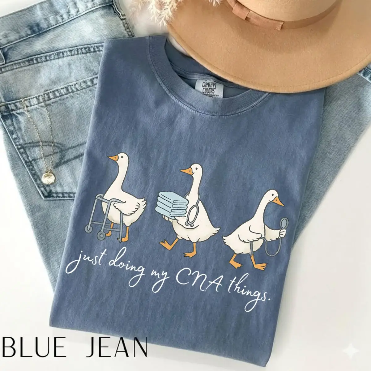 Comfort Colors Silly Goose CNA Shirt • Cute Certified Nursing Assistant Gift • Medical Work Nursing Appreciation Shirt, CNA Graduation Gift