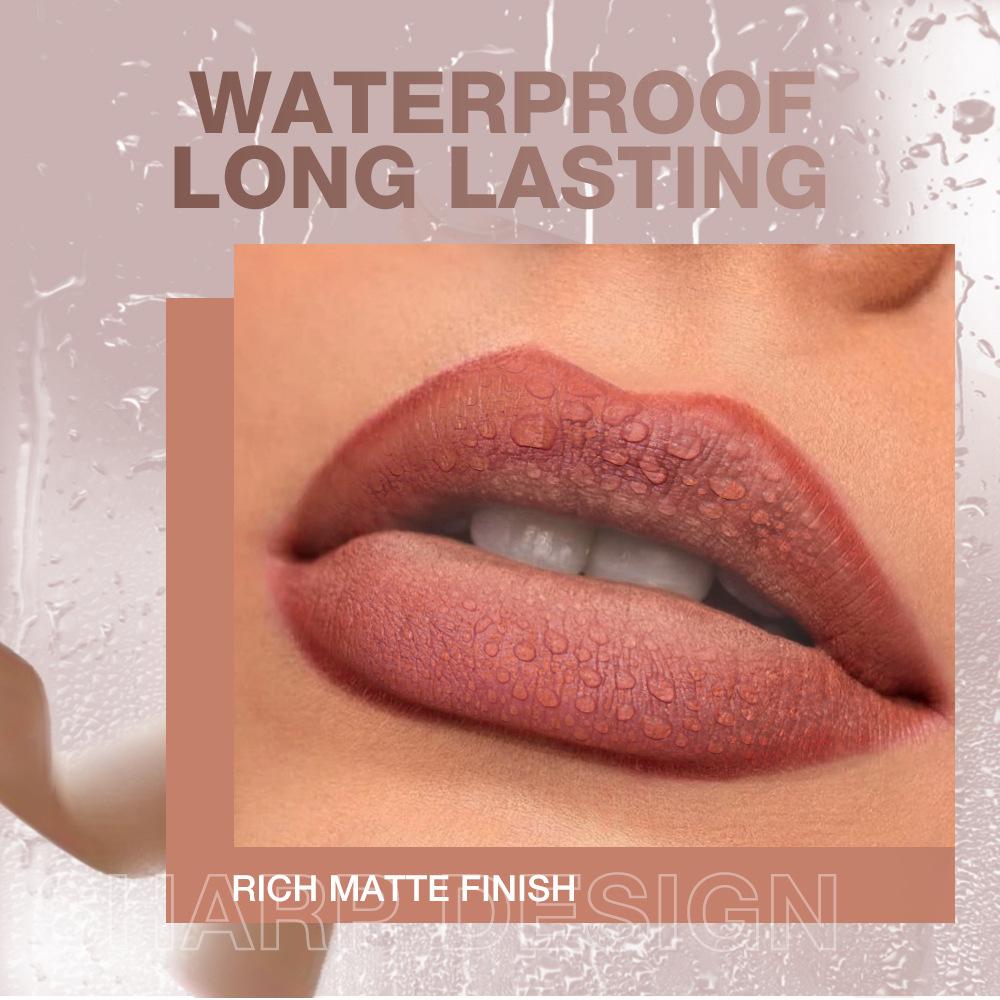 4Colors lip combo  -Waterproof, Intensely Pigmentedfor All Light Beige Types -Chocolate ColorPerfect Makeup Gift for Women -Lasting Waterproof  tint  -Lasting Matte Set Matte Long-Lasting lipstick Contouring  Creamy Matte Lipstick lippie lys lip gloss