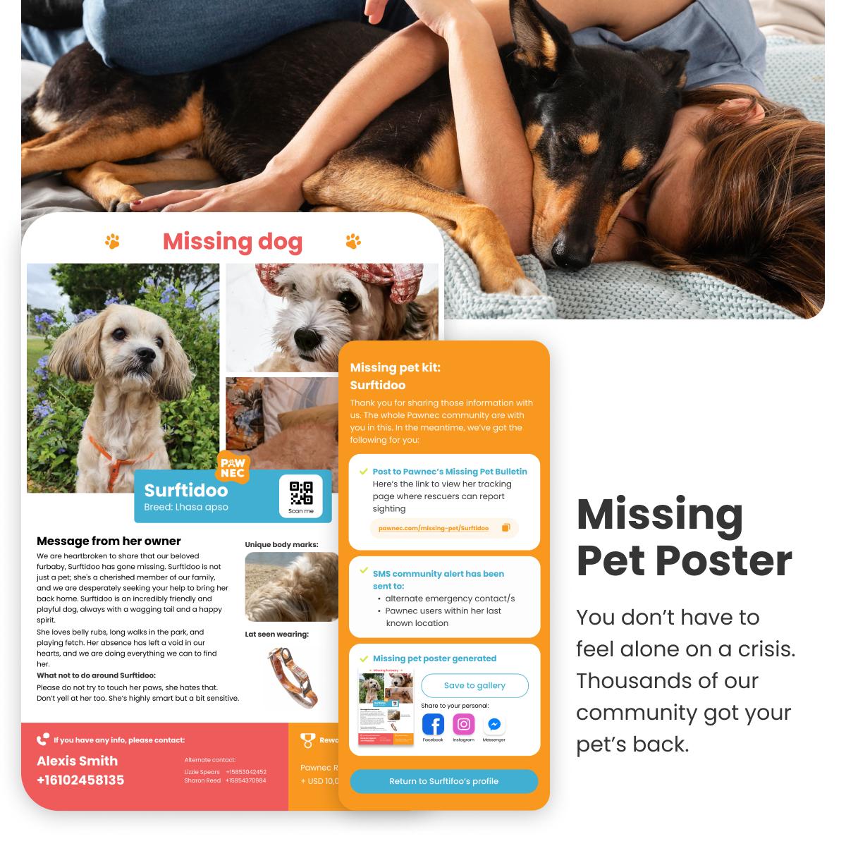 NeoCollar 'Pet Paradise' - 2-in-1 dog collar with ID tag - personalized with name - customized collar for pets