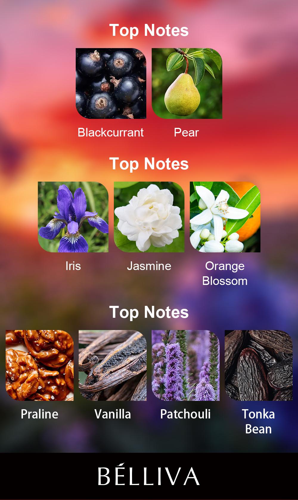 BELLIVA Women's Eau de Perfume 50ml - Long Lasting Floral Fragrance with Orange Blossom, Jasmine & Vanilla Notes