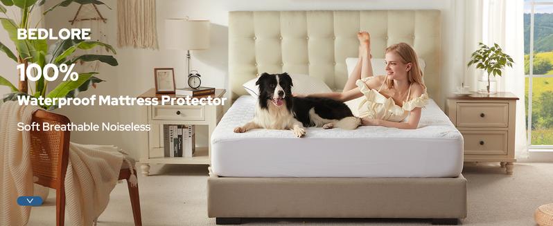 【BEDLORE】Big Copper Coin Pattern Waterproof Mattress Cover with Fitted Sheet, Soft & Breathable Non-Slip Design, Deep Pocket Fit for Bedroom & Home Use