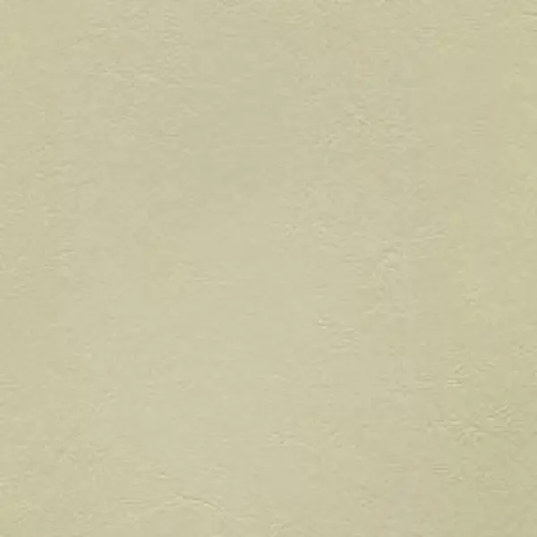Armada 117 100 Percent Polyvinyl Chloride Fabric, Sand Dollar