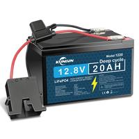 battery + Wire Harness