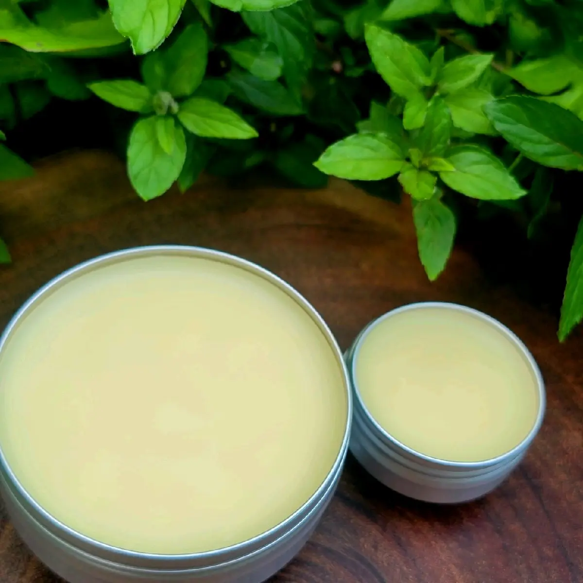 Paw Balm