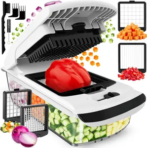 2-in-1 Vegetable & Fruit Chopper with Spiralizer, Food Chopper with Container (White)