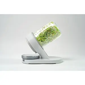 The Sprouting Company Sprouter – Easy Home Garden Station from The Sprouting Company