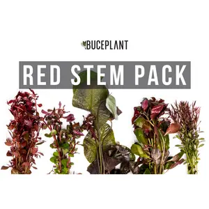Red Stem Plant Pack
