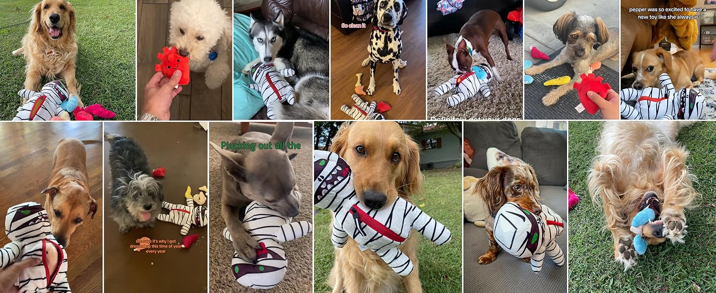 9-in-1 Zombie Plush Squeaky Dog Toys, Mummy Toys, Stimulating Puzzle Toy with 8 Organ-Shaped Plush Toys, Halloween gift, Stuffed Toys for Small Medium Dogs