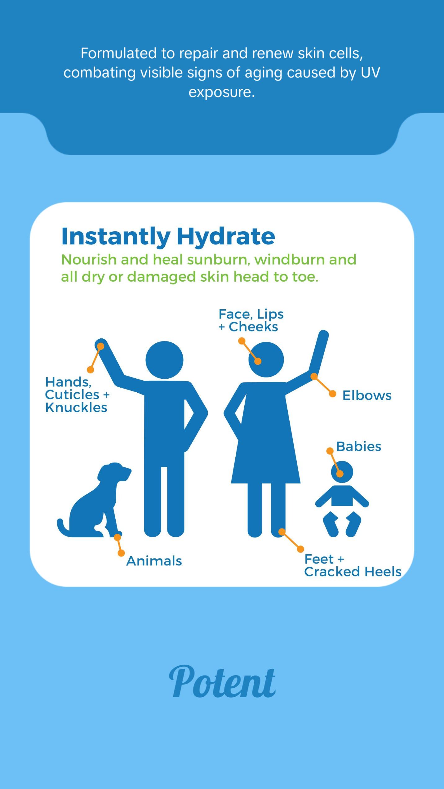 Waxhead Aftersun Body Butter for Sunburn Relief Body Care Organic Daily Lightweight Moisturize Moisturizer Repair Restore Sunflower Herbal