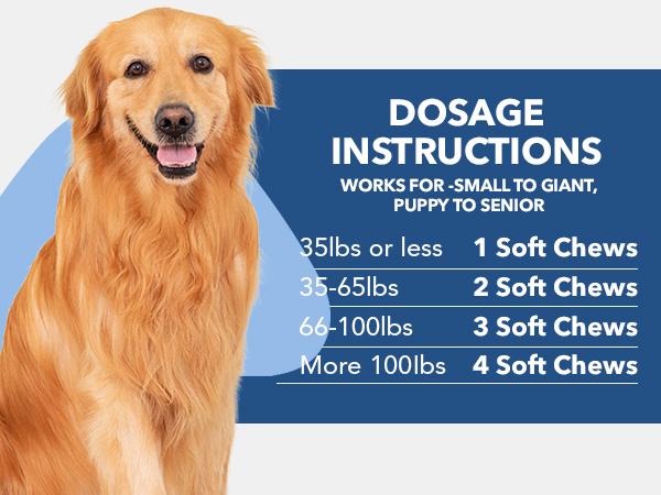 2Pack-Probiotics for Dogs - Dogs Probiotics Chews with Enzymes & Fiber Blend Supports Gut Health, Boost Immune - Natural Probiotic Supplement for Digestive, Diarrhea, Gas, Constipation, Itchy Skin,120Ct