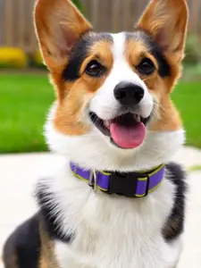 Pet Tactical Collar - Durable Adjustable Dog Collar with Reflective Strips for Safety and Comfort