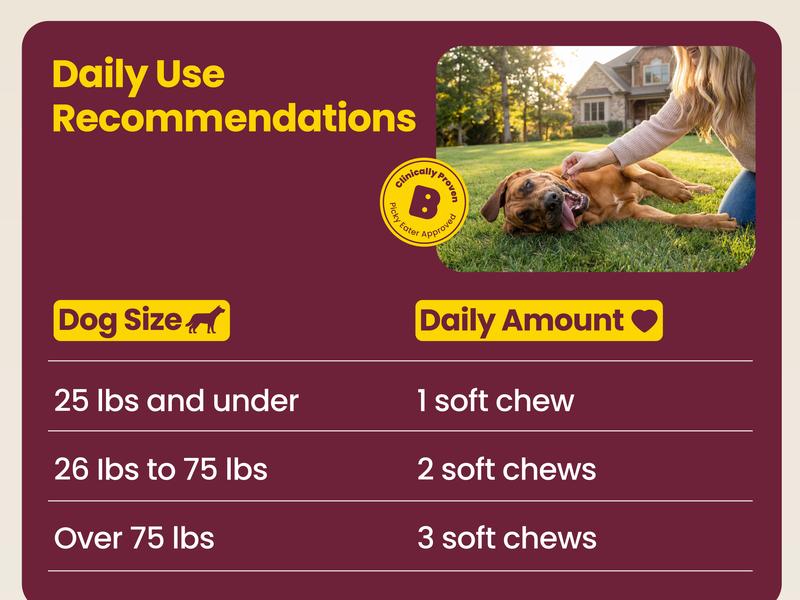 Boops Pets Calming Chews for Dogs – KSM-66 Ashwagandha, L-Theanine & Melatonin – Supports Relaxation & Calm Behavior – Great for Storms, Fireworks, Travel & Vet Visits – Turkey & Beef Flavor