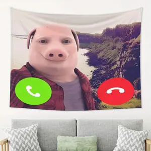 John Pork Meme tapestry ，Perfect for Dorm Rooms, Living roo Rooms & Bedrooms |   Funny Lightweight Wall Hanging Decor,chill room accessories,bedroom decorative accessories easy hang wall art party decoration free flag multiple option Backdrop Photo Print