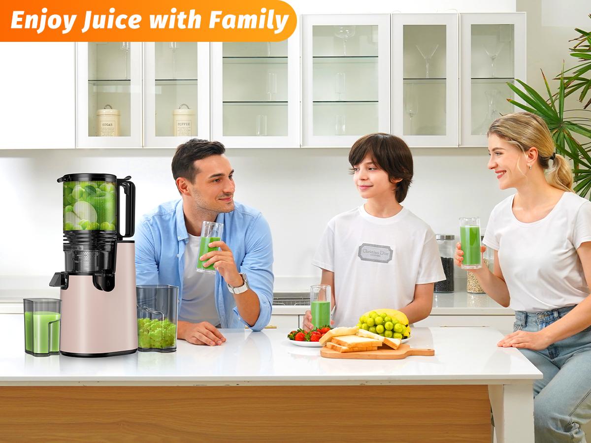 LQZ Cold Press Juicer-Slow Masticating Machines, 350W, 5.4" Feed Chute for Whole Fruits & Vegetables,High Juice Yield,Easy to Clean