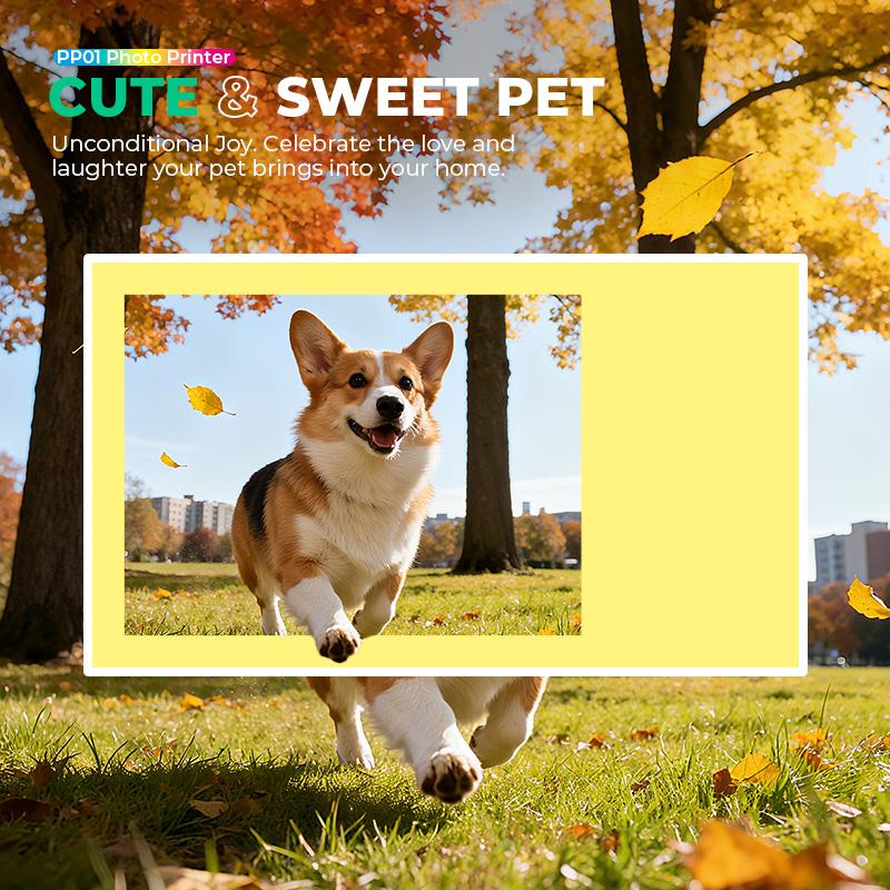 PP01 Portable Mini Color Wireless Mobile Printer, Instant Smartphone Photo Printer, Sticky-Back Photos, Bluetooth Compatible with iOS & Android Devices, Fun Editing App, Perfect Gift For Valentine's Day