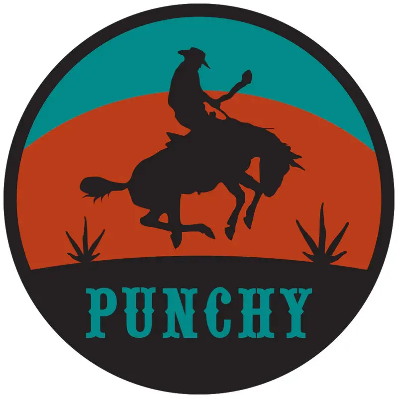 Hooey Punchy Teal / Orange / Black Decal
