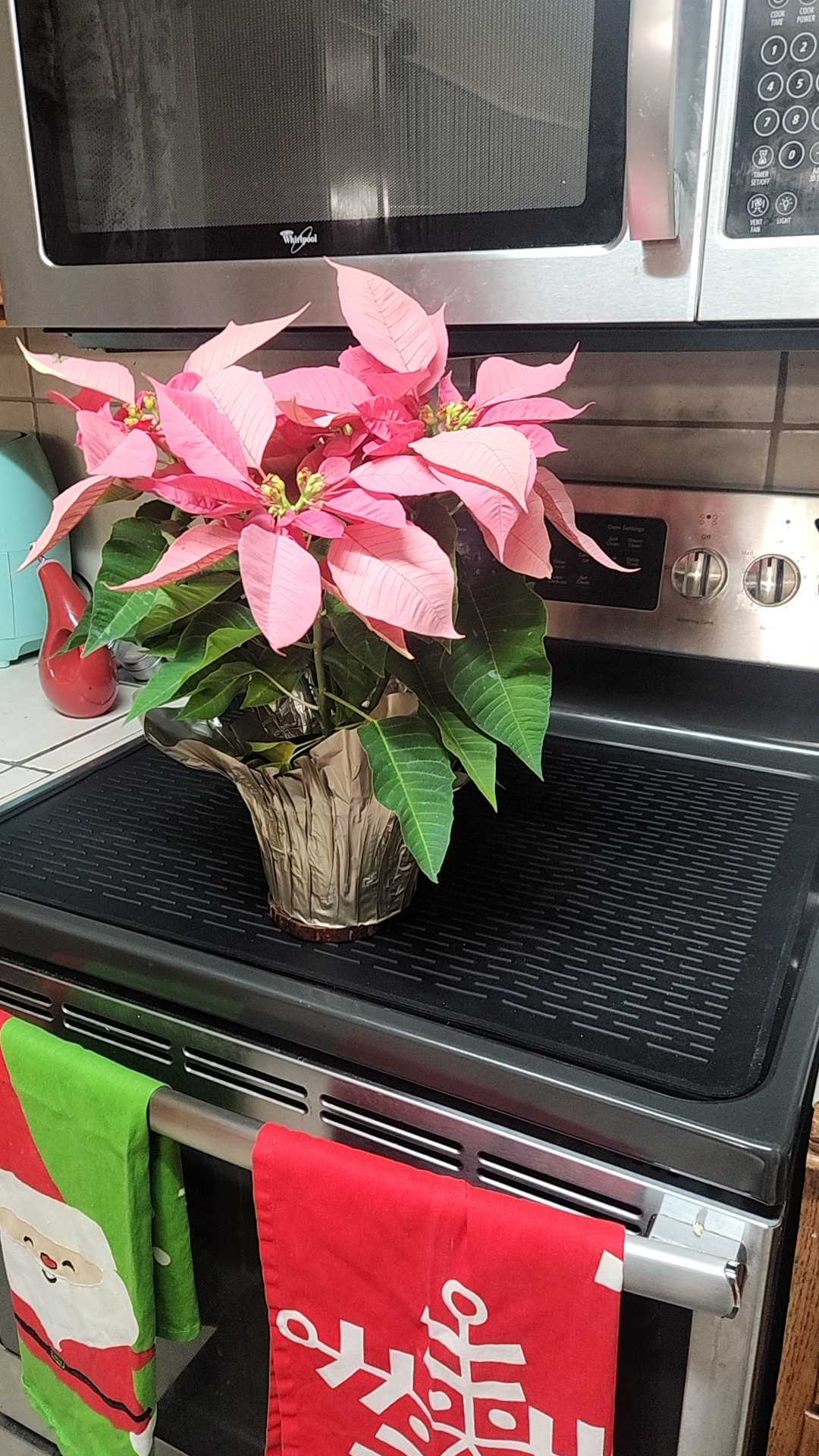 【TikTok Top Seller】Heat Resistant Silicone Stove Cover Mat & Utensils Non-slip Protector 2026 Kitchen Gadgets Mother's Day Gifts Black Tableware Coasters Lightweight Waterproof Halloween 【TikTok Top Seller】Heat Resistant Silicone Stove Cover Mat & Utensils Non-slip Protector 2026 Kitchen Gadgets Mother's Day Gifts Black Tableware Coasters Lightweight Waterproof Halloween