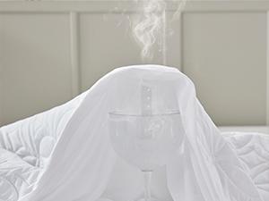 【BEDLORE】Big Copper Coin Pattern Waterproof Mattress Cover with Fitted Sheet, Soft & Breathable Non-Slip Design, Deep Pocket Fit for Bedroom & Home Use