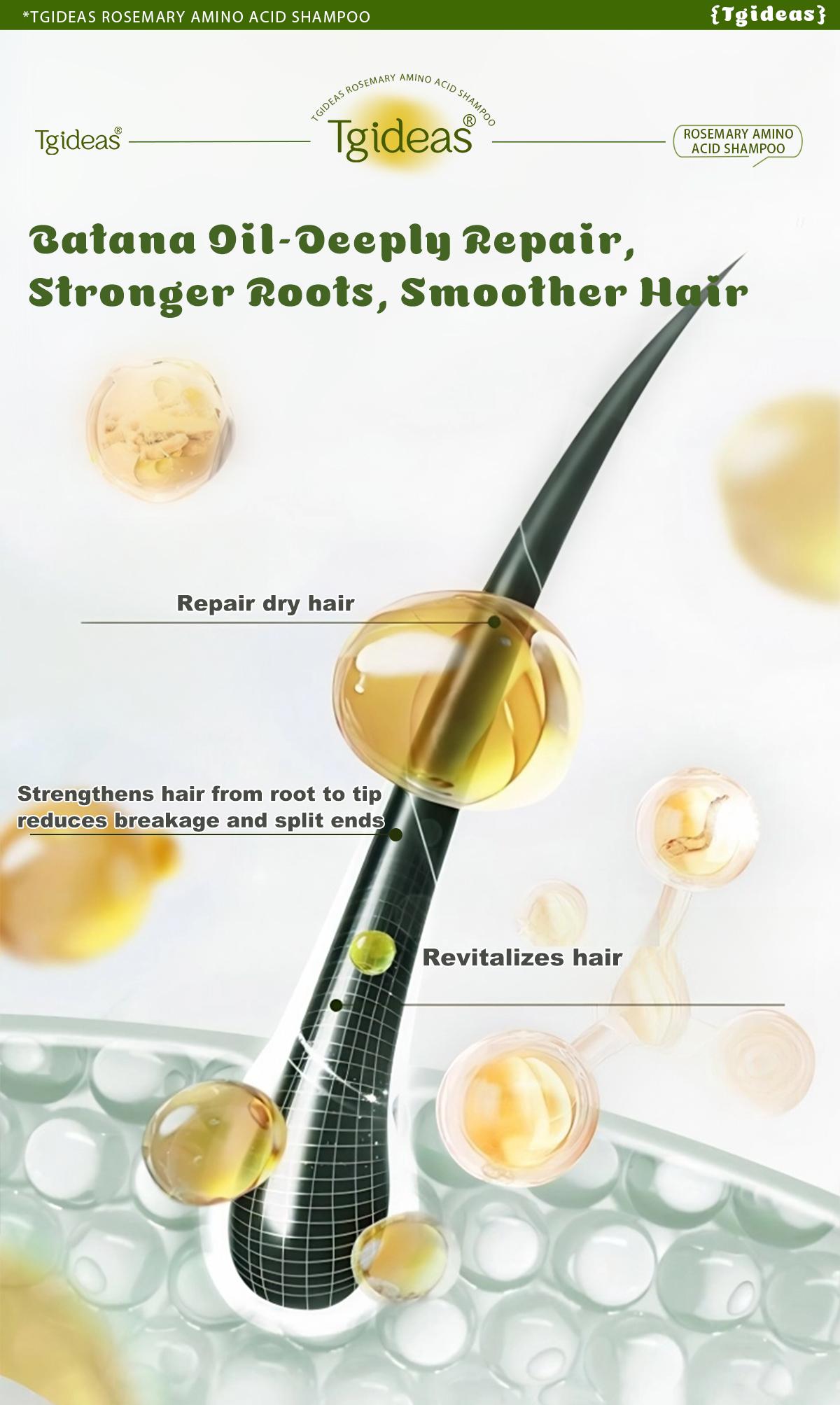 Tgideas Rosemary Batana Oil Shampoo - Promotes hair growth, strengthens hair strands, cleanses hair, contains natural extracts to care for hair, daily hair care 250ml (8.45oz).