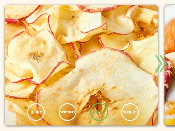 COSORI Food Dehydrator for Jerky, 480W Dehydrated Dryer, 5 Stainless Steel Trays, 48H Timer, Temperature Control, for Herbs, Meat, Fruit, and Yogurt