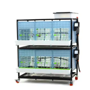 Chick Brooder - 2 Layer H: 15"