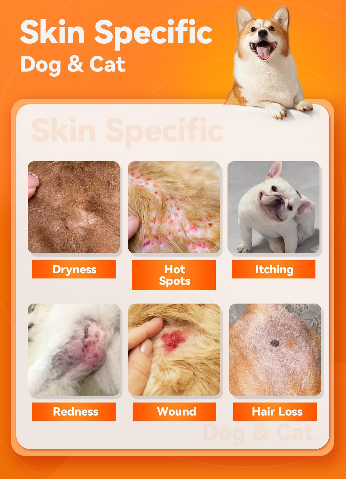 Itch Relief Spray for Dogs and Cats - PUAINTA Quantum Silver Hot Spot Care for Scratching and Redness, Natural Plant Based Formula for Allergies and Wounds, Vet Recommended Quality, Made in USA Itch Relief Spray for Dogs and Cats - PUAINTA Quantum Silver Hot Spot Care for Scratching and Redness, Natural Plant Based Formula for Allergies and Wounds, Vet Recommended Quality, Made in USA