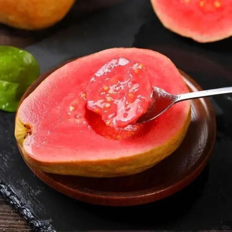 Guava Seeds for Potted Plants Greenhouses & Outdoor Gardens Easy to Cultivate Fruit Tree Seeds Ideal for Gardening Enthusiasts