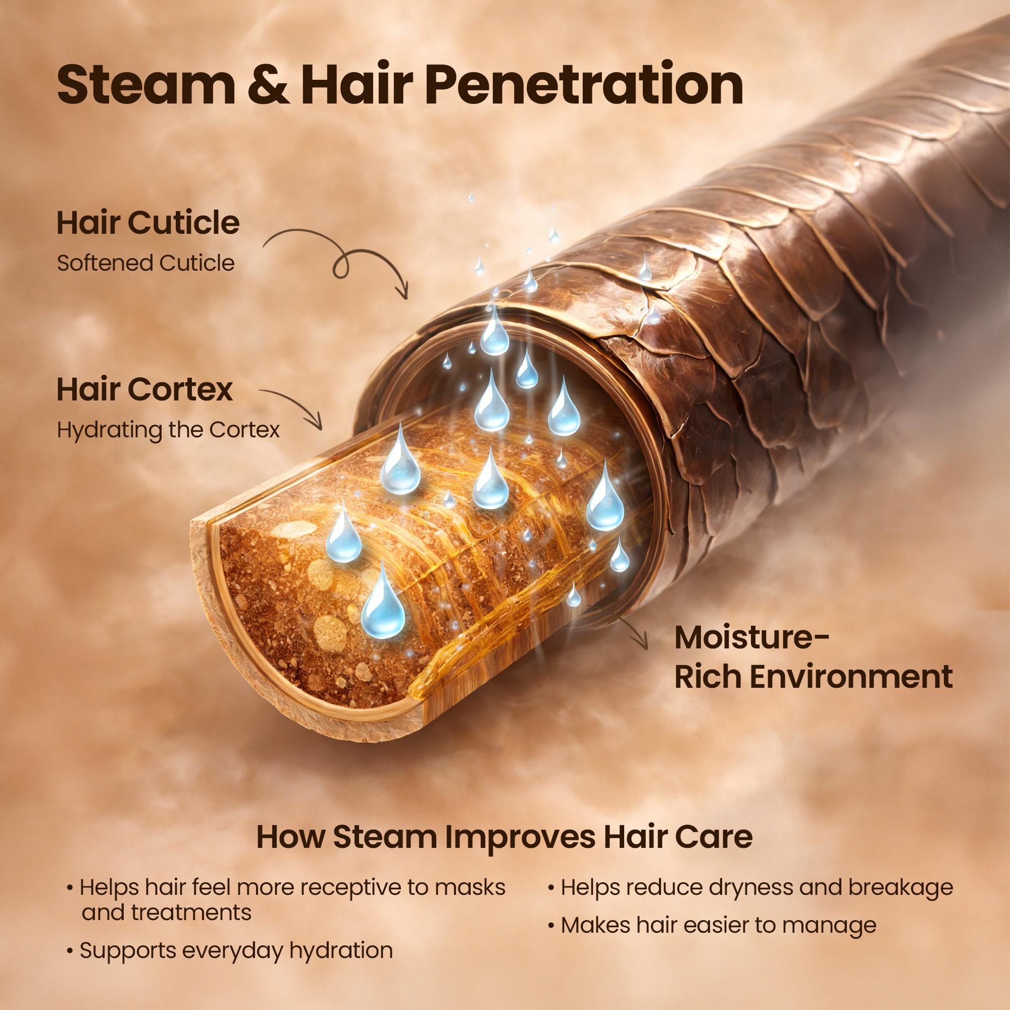 Kingsteam Hair Steamer
