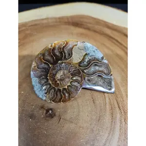 Ammonite Fossil Small 52g - Natural Stone with Unique Patterns and Detailed Features
