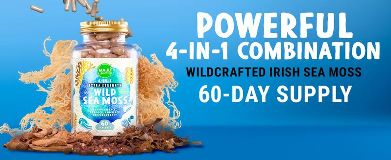 MAJU Organic Wild Sea Moss Capsules (60ct), Supplement Dietary Healthcare Natural Edible Fitness, Chondrus Crispus