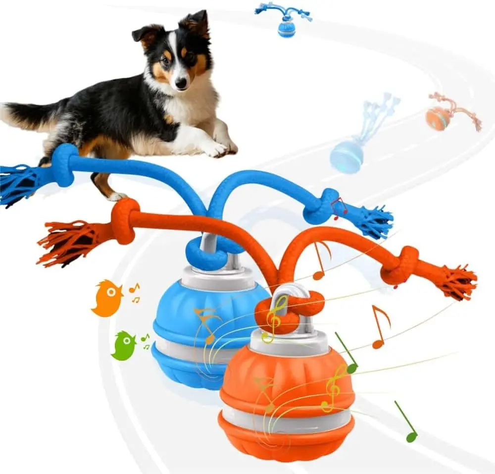 Dog Interactive Training Ball Toy - Rechargeable Motion-Activated Self-Moving Pet Toy for Puppies, Small Dogs, with Built-In Bird Sounds, Moving Beads, Auto Roll, All Seasons Indoor-Outdoor Active Play & Exercise