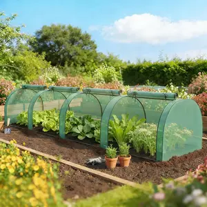 Low Design Mini Greenhouse,Spacious Greenhouse
