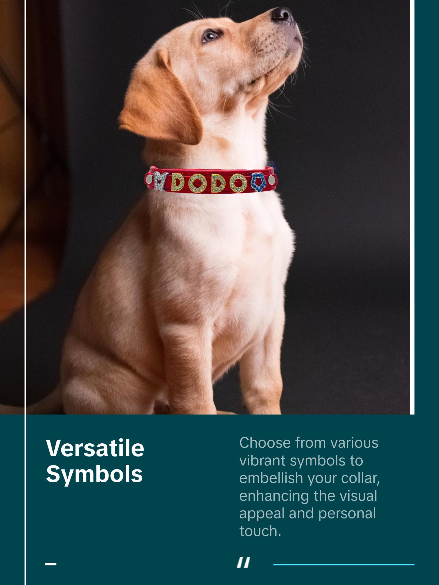 ALPHABET Shine Personalized Handmade PU Leather Dog Collar