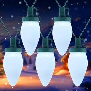 Moonflor C9 Christmas Lights Outdoor, Vintage Christmas String Lights 100FT 100LED Green Wire (Warm White)